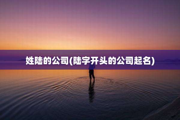 姓陆的公司(陆字开头的公司起名)