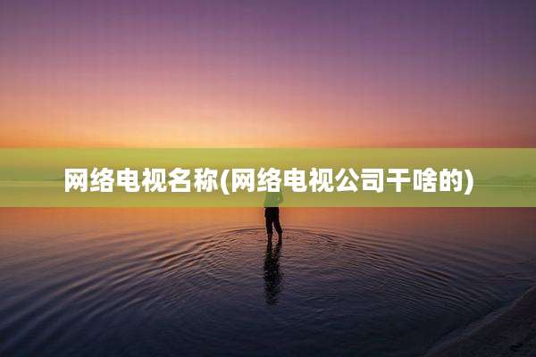 网络电视名称(网络电视公司干啥的)
