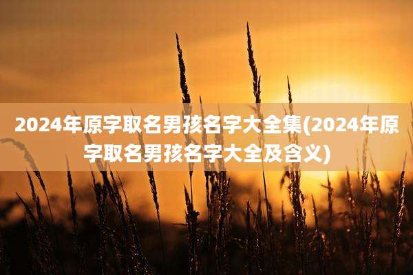 2024年原字取名男孩名字大全集(2024年原字取名男孩名字大全及含义)