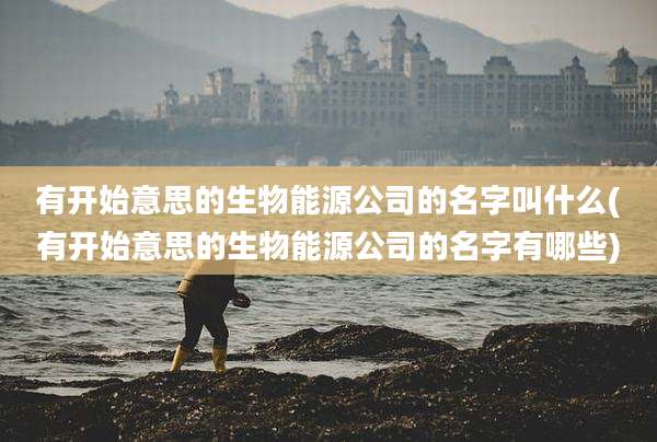 有开始意思的生物能源公司的名字叫什么(有开始意思的生物能源公司的名字有哪些)