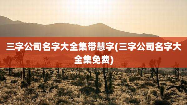 三字公司名字大全集带慧字(三字公司名字大全集免费)