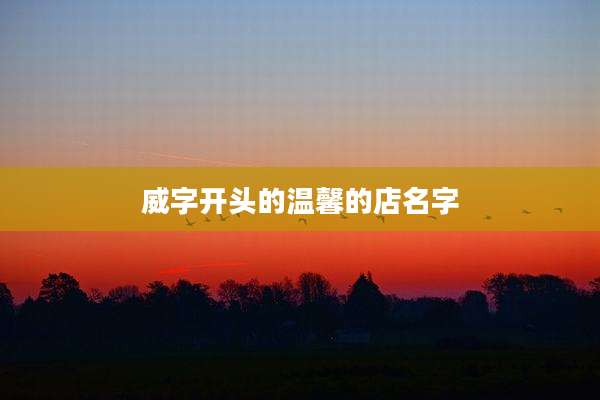 威字开头的温馨的店名字