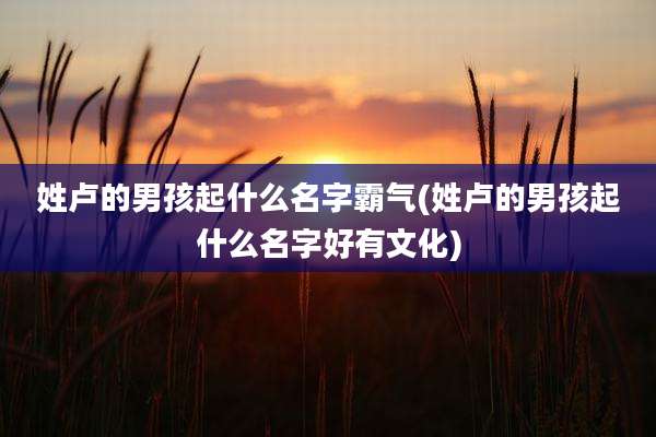 姓卢的男孩起什么名字霸气(姓卢的男孩起什么名字好有文化)
