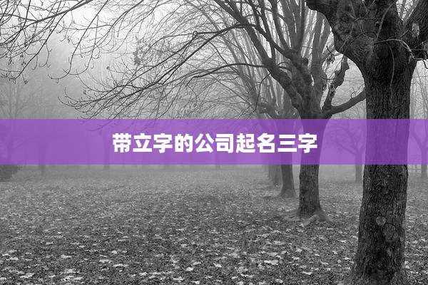带立字的公司起名三字