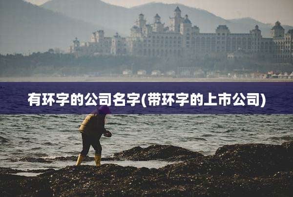 有环字的公司名字(带环字的上市公司)