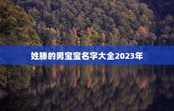 姓滕的男宝宝名字大全2023年
