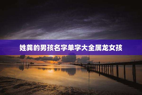 姓龚的男孩名字单字大全属龙女孩
