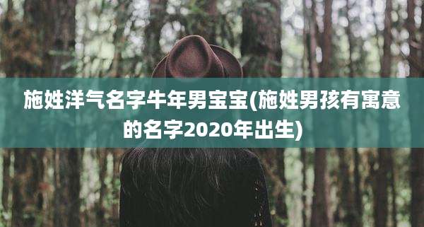 施姓洋气名字牛年男宝宝(施姓男孩有寓意的名字2020年出生)