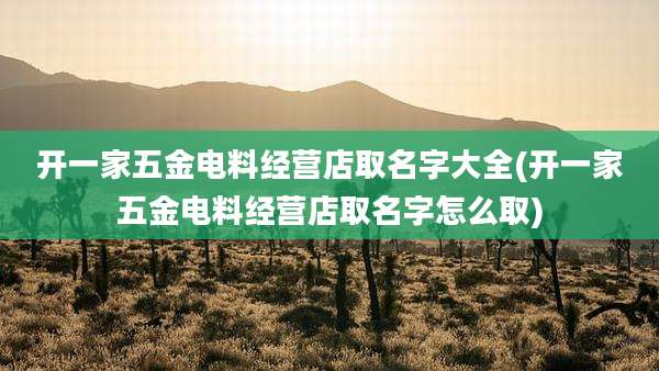 开一家五金电料经营店取名字大全(开一家五金电料经营店取名字怎么取)
