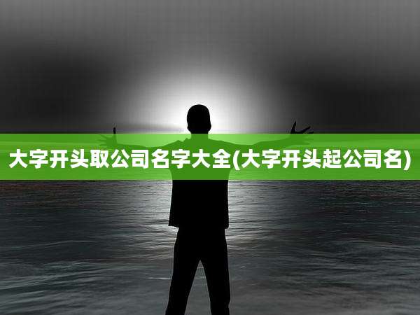 大字开头取公司名字大全(大字开头起公司名)