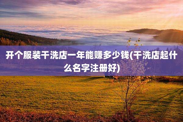 开个服装干洗店一年能赚多少钱(干洗店起什么名字注册好)