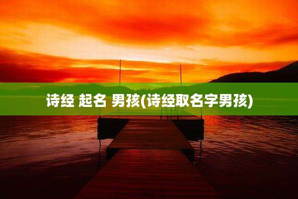 诗经 起名 男孩(诗经取名字男孩)