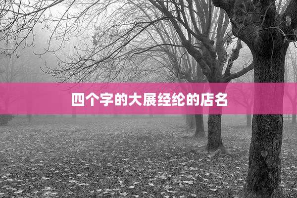 四个字的大展经纶的店名