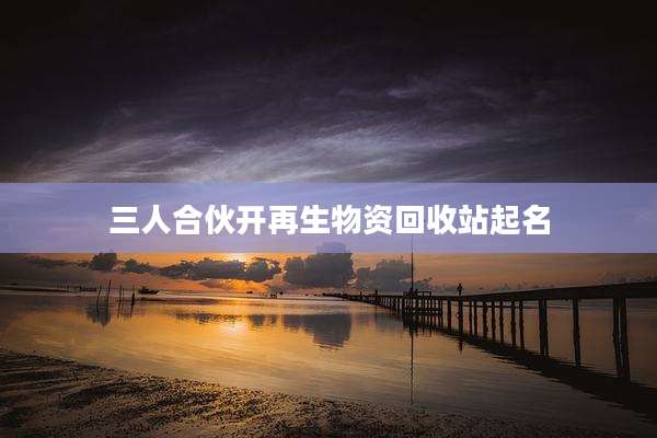 三人合伙开再生物资回收站起名