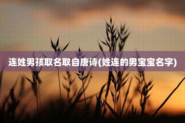 连姓男孩取名取自唐诗(姓连的男宝宝名字)
