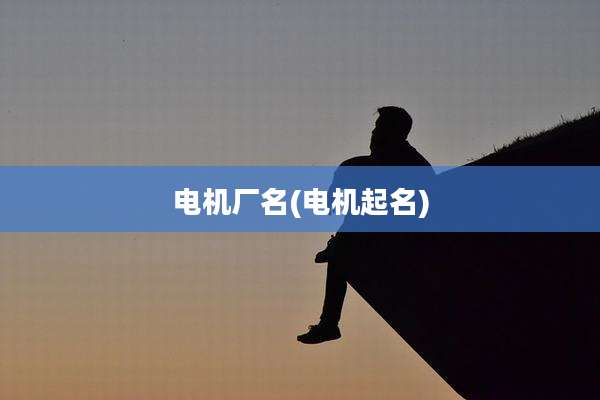 电机厂名(电机起名)