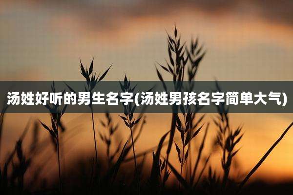 汤姓好听的男生名字(汤姓男孩名字简单大气)