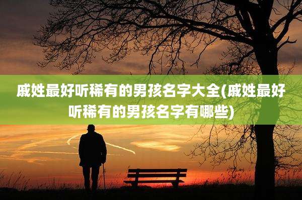 戚姓最好听稀有的男孩名字大全(戚姓最好听稀有的男孩名字有哪些)