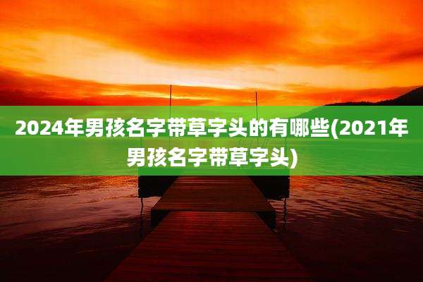 2024年男孩名字带草字头的有哪些(2021年男孩名字带草字头)