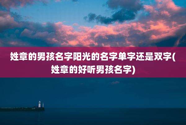 姓章的男孩名字阳光的名字单字还是双字(姓章的好听男孩名字)
