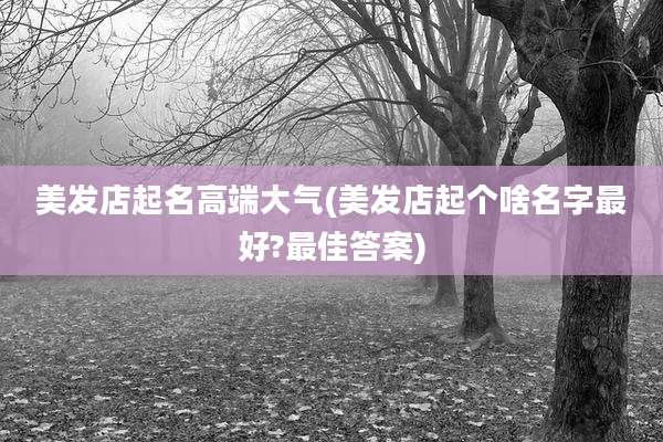 美发店起名高端大气(美发店起个啥名字最好?最佳答案)