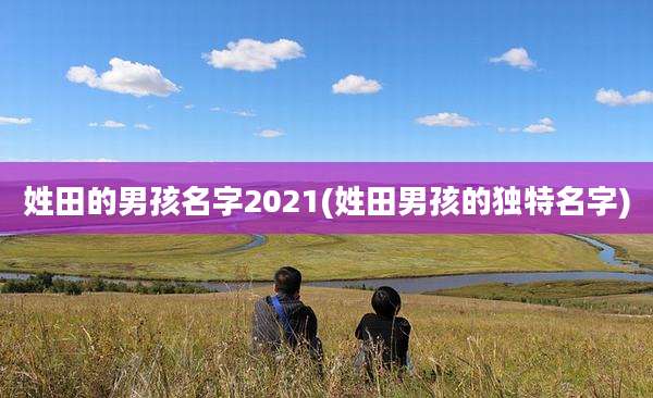 姓田的男孩名字2021(姓田男孩的独特名字)