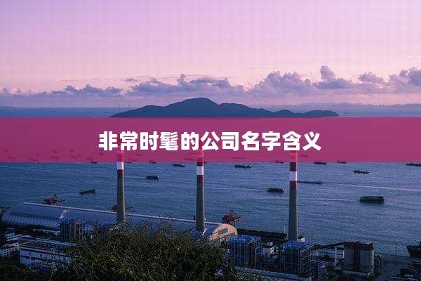 非常时髦的公司名字含义