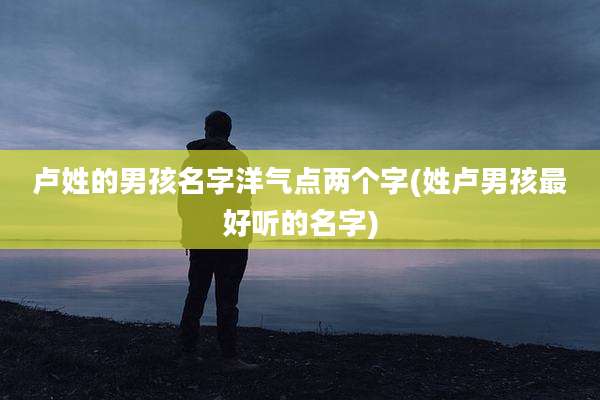 卢姓的男孩名字洋气点两个字(姓卢男孩最好听的名字)