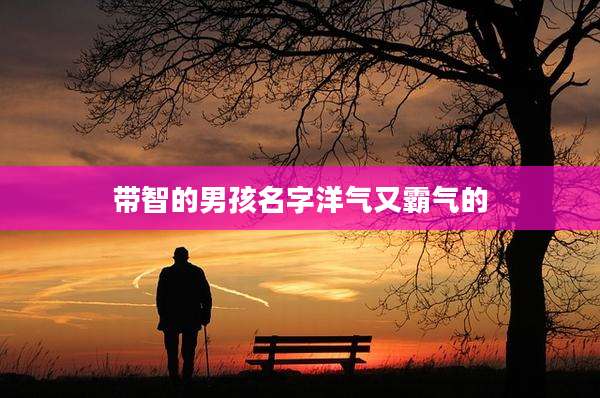 带智的男孩名字洋气又霸气的