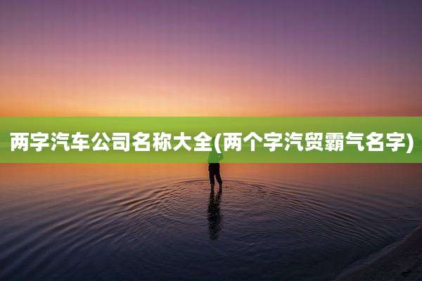 两字汽车公司名称大全(两个字汽贸霸气名字)
