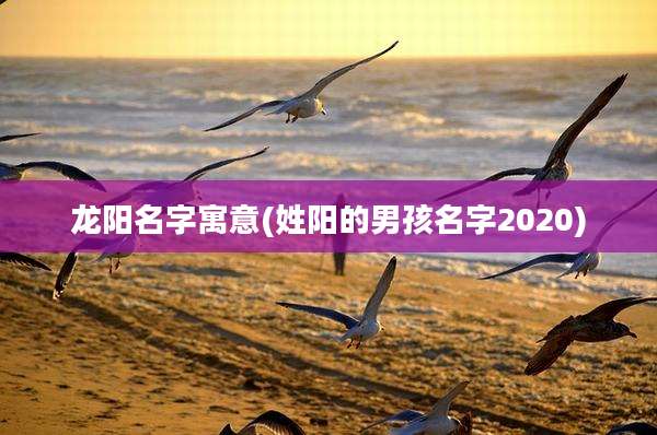 龙阳名字寓意(姓阳的男孩名字2020)