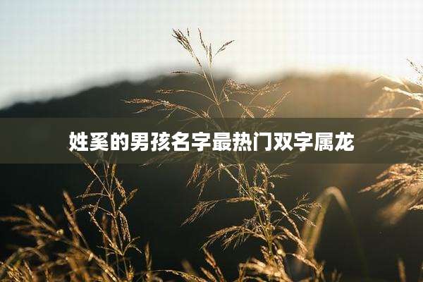 姓奚的男孩名字最热门双字属龙