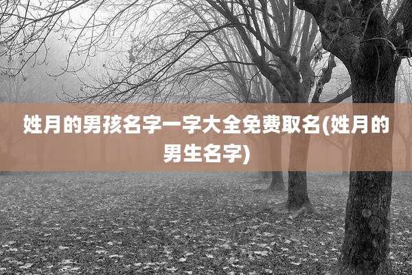 姓月的男孩名字一字大全免费取名(姓月的男生名字)