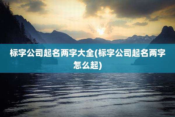 标字公司起名两字大全(标字公司起名两字怎么起)