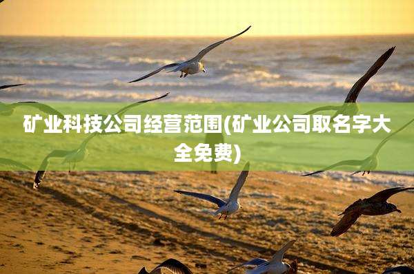 矿业科技公司经营范围(矿业公司取名字大全免费)