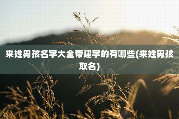 来姓男孩名字大全带建字的有哪些(来姓男孩取名)