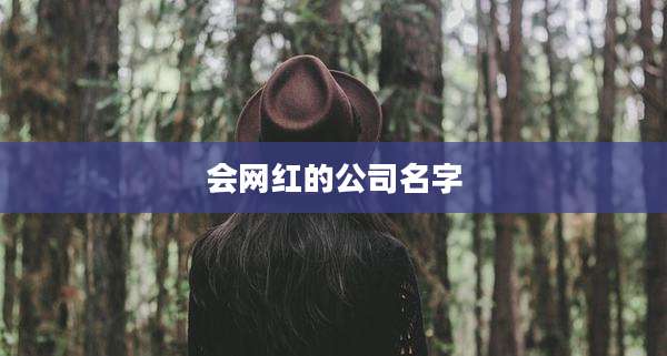 会网红的公司名字
