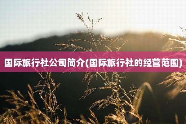 国际旅行社公司简介(国际旅行社的经营范围)
