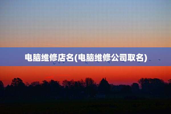 电脑维修店名(电脑维修公司取名)