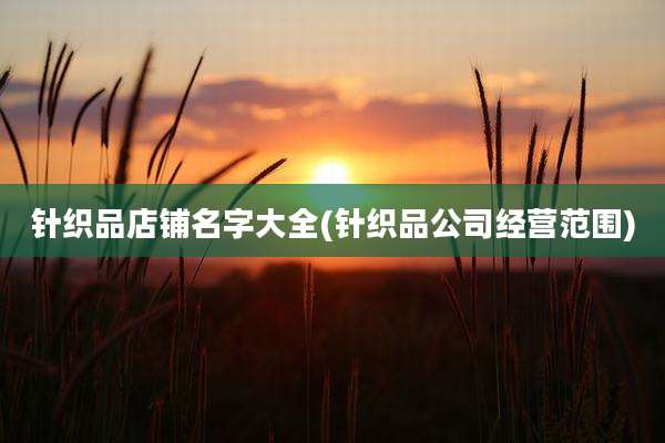 针织品店铺名字大全(针织品公司经营范围)