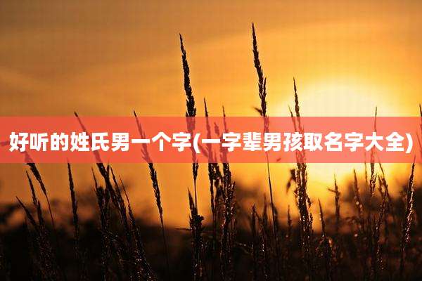 好听的姓氏男一个字(一字辈男孩取名字大全)