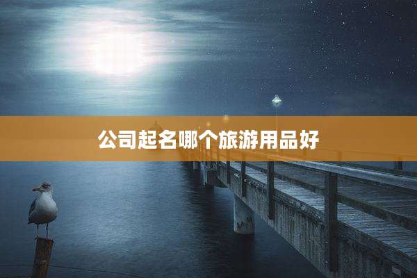公司起名哪个旅游用品好