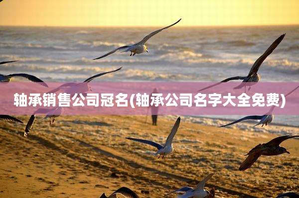 轴承销售公司冠名(轴承公司名字大全免费)