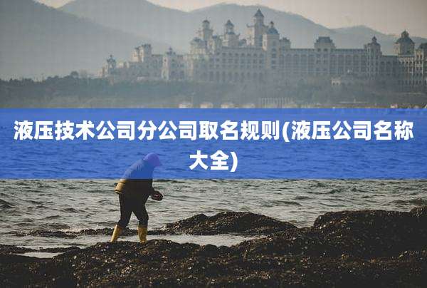 液压技术公司分公司取名规则(液压公司名称大全)