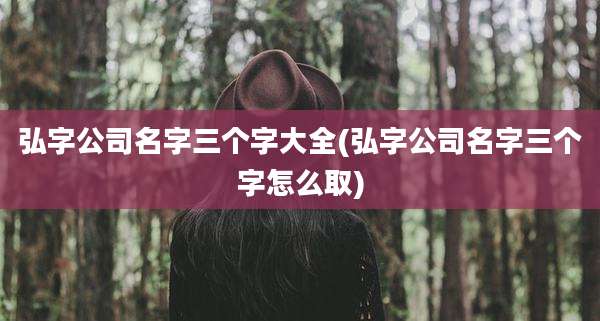 弘字公司名字三个字大全(弘字公司名字三个字怎么取)