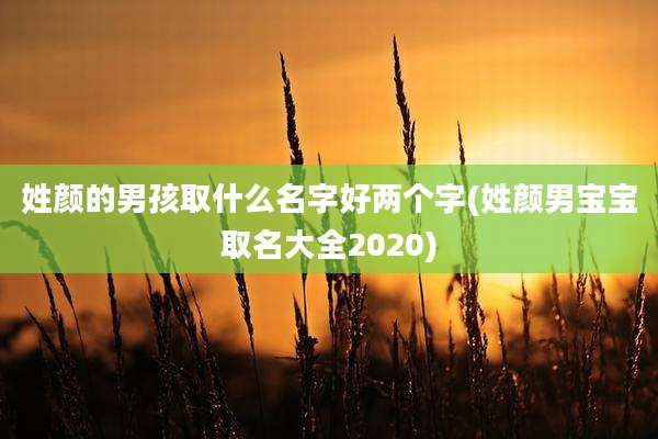 姓颜的男孩取什么名字好两个字(姓颜男宝宝取名大全2020)