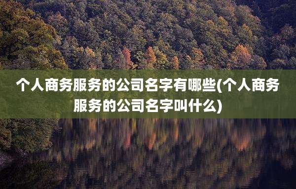 个人商务服务的公司名字有哪些(个人商务服务的公司名字叫什么)