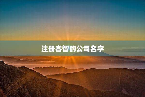 注册睿智的公司名字