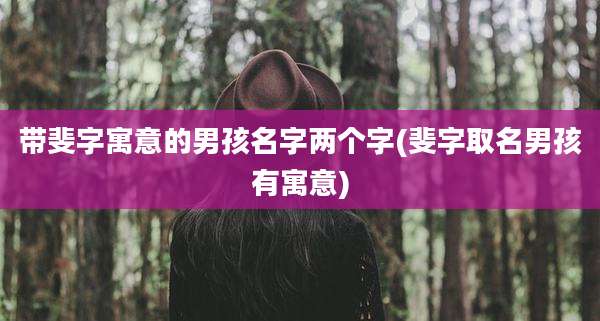 带斐字寓意的男孩名字两个字(斐字取名男孩有寓意)