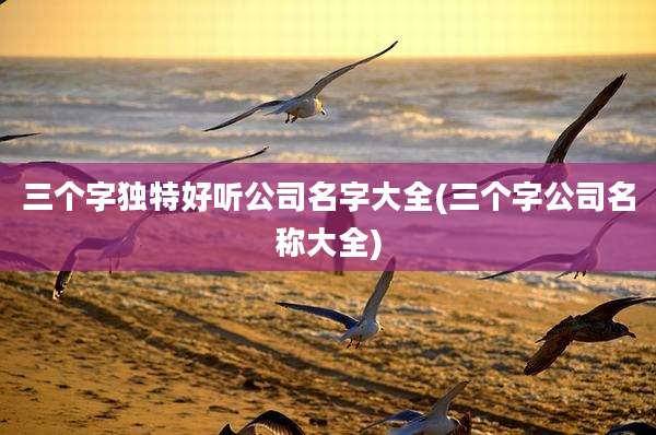 三个字独特好听公司名字大全(三个字公司名称大全)